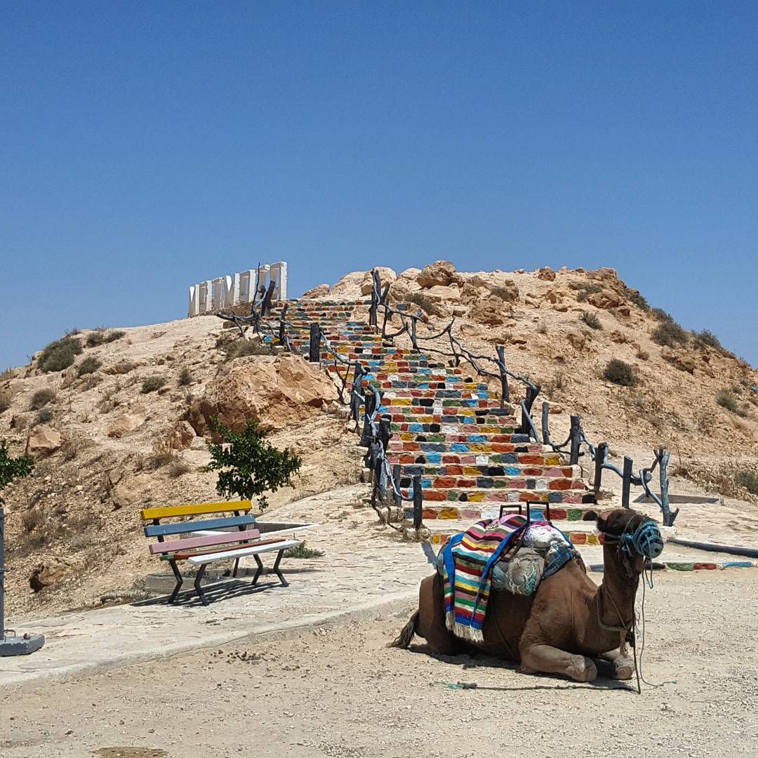 Paysage aride près de Matmata avec végétation résistante